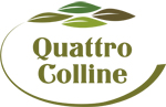 Quattro Colline